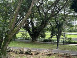 Blk 113 Potong Pasir Avenue 1 (Toa Payoh), HDB 4 Rooms #497347591